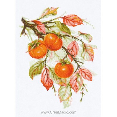 Broderie Fleurs et Plantes - Sunny Persimmon - RIOLIS