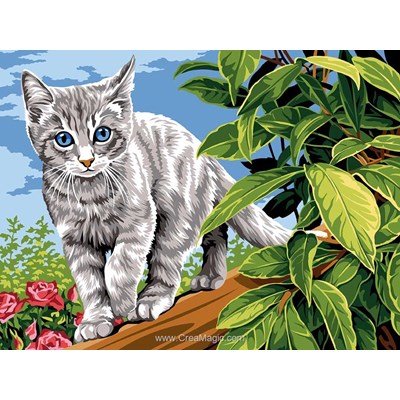 Le petit chat gris canevas - SEG