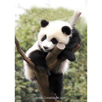 Broderie diamant panda endormi sur la branche - Collection d'art