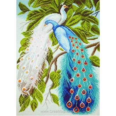 Kit broderie imprimée aida Collection d'art deux paons peacocks