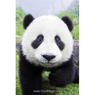 Kit broderie diamant curious panda de Wizardi