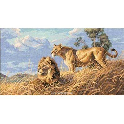 Tableau point de croix Dimensions african lions