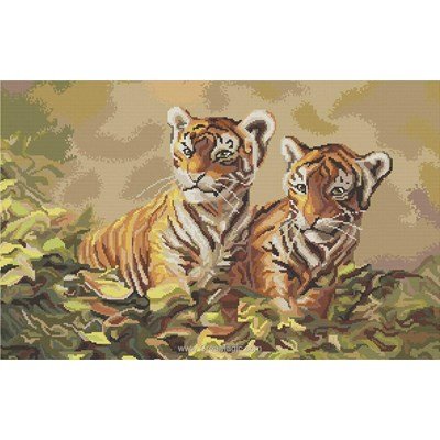 Deux jeunes tigres modèle Luca-S au point de croix