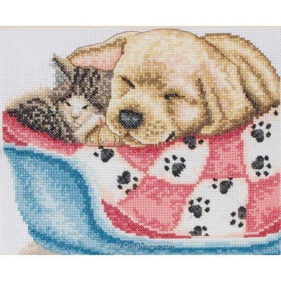 Kit à broder d'Anchor au point de croix nap time (cat & dog napping)