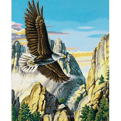 Broderie diamant Diamond Painting mountain eagle