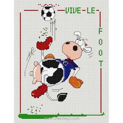 Vive le foot - toile lin broderie au point de croix compté - Anagram