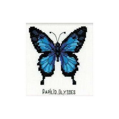 Mini kit papillon ulysses - RIOLIS
