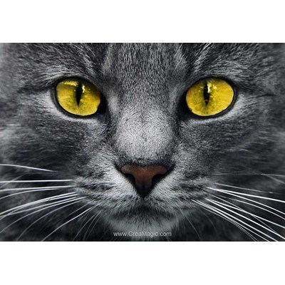 Broderie diamant Collection d'art yellow eyes