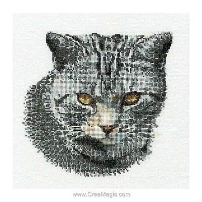 Cyprian cat sur aida modèle broderie - Thea Gouverneur