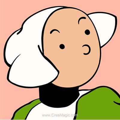 Coussin portrait de bécassine de SEG au demi point