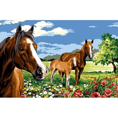 Famille de chevaux dans la prairie canevas - Margot