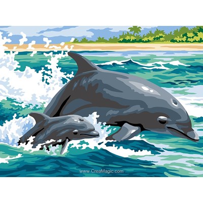 SEG canevas course de dauphins