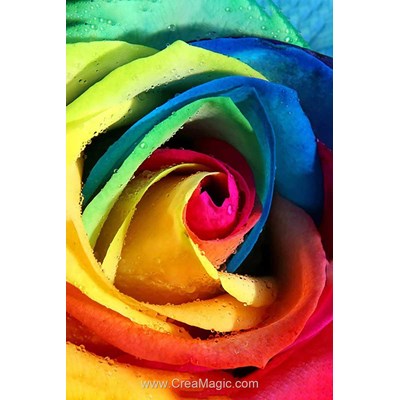 Broderie diamant rainbow rose de Wizardi