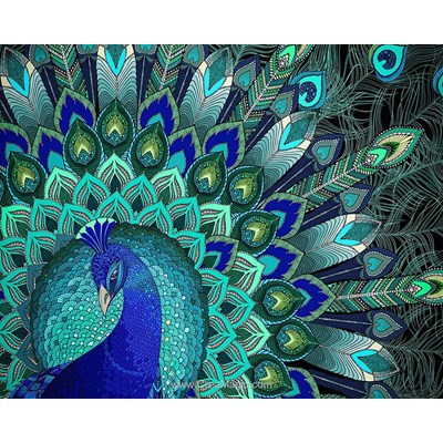 Kit broderie diamant peacock patterns - Diamond Painting