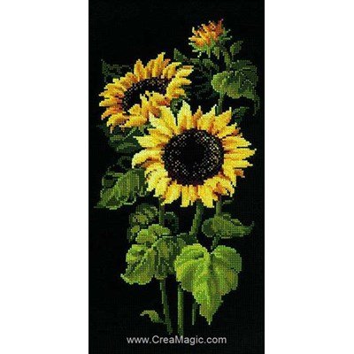 Broderie point compté 3 tournesols en fleur - RIOLIS