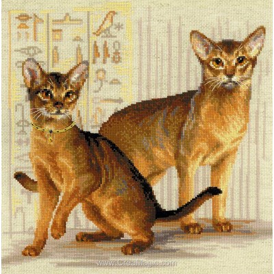 Modèle broderie point de croix chats abyssiniens de RIOLIS