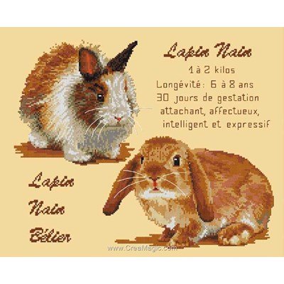 Kit à broder de Mimo Verde au point de croix lapins nains