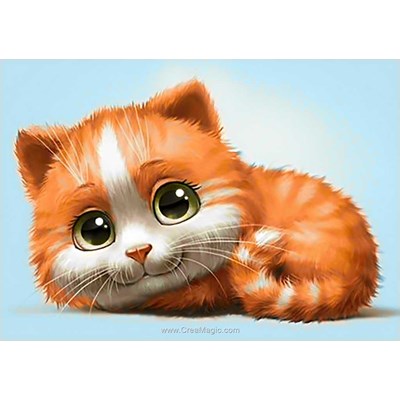 Kit broderie diamant ginger cat - Wizardi