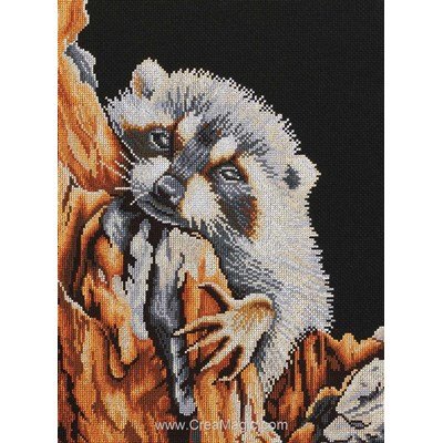 Racoon broderie au point compté - Lanarte