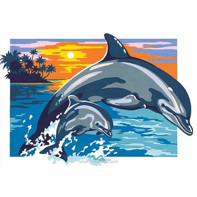 Dauphins et coucher de soleil canevas - SEG