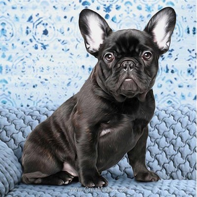 Broderie diamant Diamond Painting bulldog