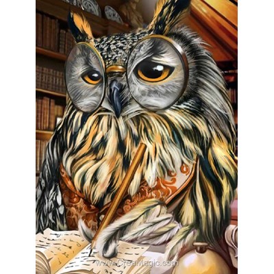 Broderie diamant Diamond Painting le hibou savant