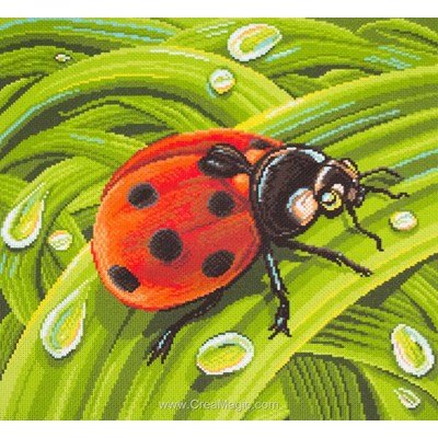 Broderie aida imprimée Collection d'art coccinelle ladybug