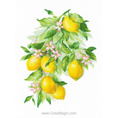 Broderie Fruits et légumes - Bright Lemons - RIOLIS