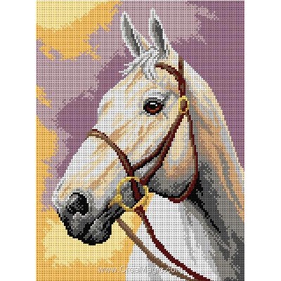 Canevas Chevaux - Canevas White horse - Orchidea