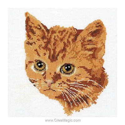 Broderie au point de croix chat roux sur lin - Thea Gouverneur