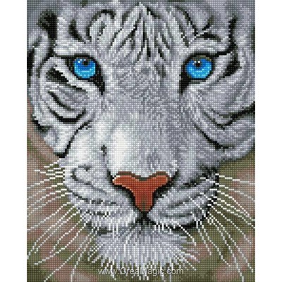 Broderie diamant - Magie de la jungle - Diamond Dotz