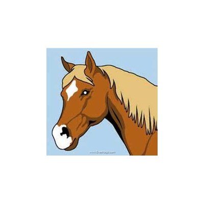 SEG kit canevas pour enfants regard d'un cheval