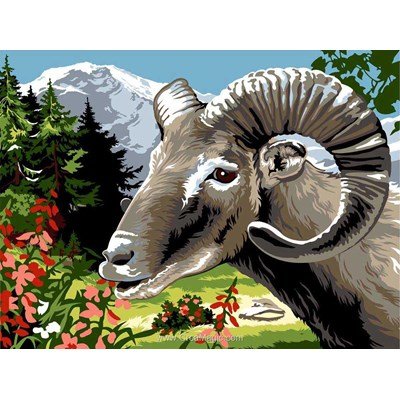 Canevas le mouflon en montagne - SEG