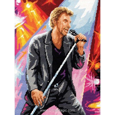 Johnny hallyday en concert canevas chez Royal Paris