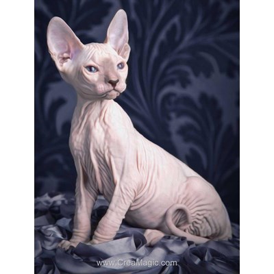 Kit broderie diamant sphynx cat - Diamond Painting