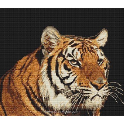 Luca-S kit broderie tête de tigre