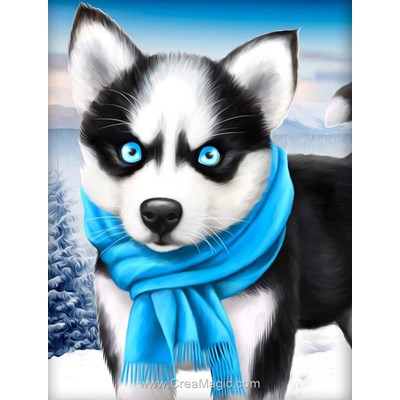 Kit broderie diamant blue eye husky de Diamond Painting