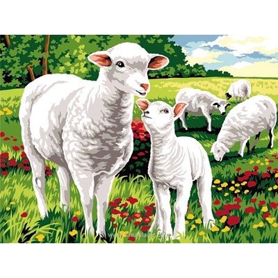 Moutons au champ canevas - Margot