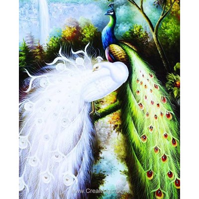 Kit broderie diamant majestic peacocks de Diamond Painting