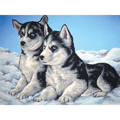 Canevas chiots husky - Collection d'art