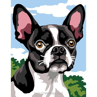 Kit Canevas Complet - Buldog - Margot
