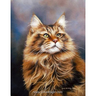 Kit broderie diamant Diamond Painting maine coon