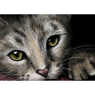 Broderie diamant cat's eyes - Diamond Painting