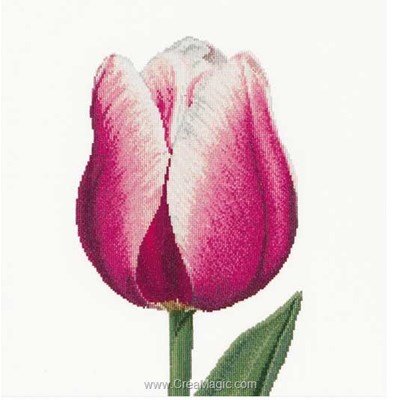 Modèle Thea Gouverneur au point de croix red/white triumph tulip sur lin