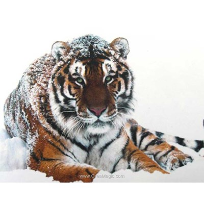 Kit broderie diamant tigre dans la neige de Collection d'art