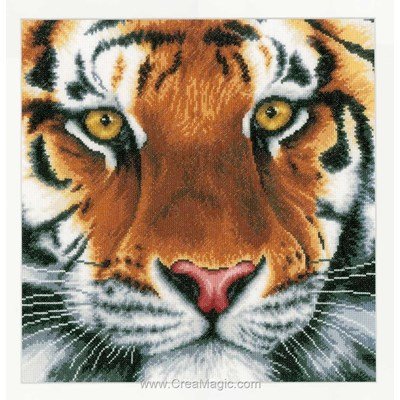 Kit Lanarte à broder yeux de tigre