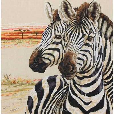 Zebras point de croix compté - Maia