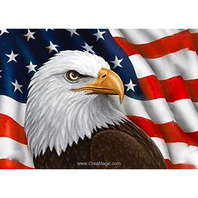 Broderie diamant Collection d'art l'aigle des etats unis