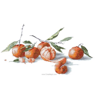 Mandarines broderie de Luca-S au point de croix