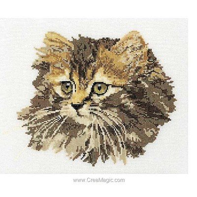 Broderie au point compté chat angora brun sur lin de Thea Gouverneur